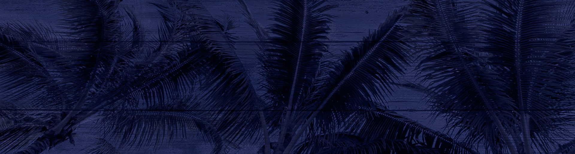 actualites rhum damoiseau